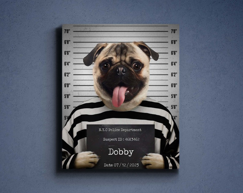 Custom Mug Shot Portrait, Guilty Pet Portrait