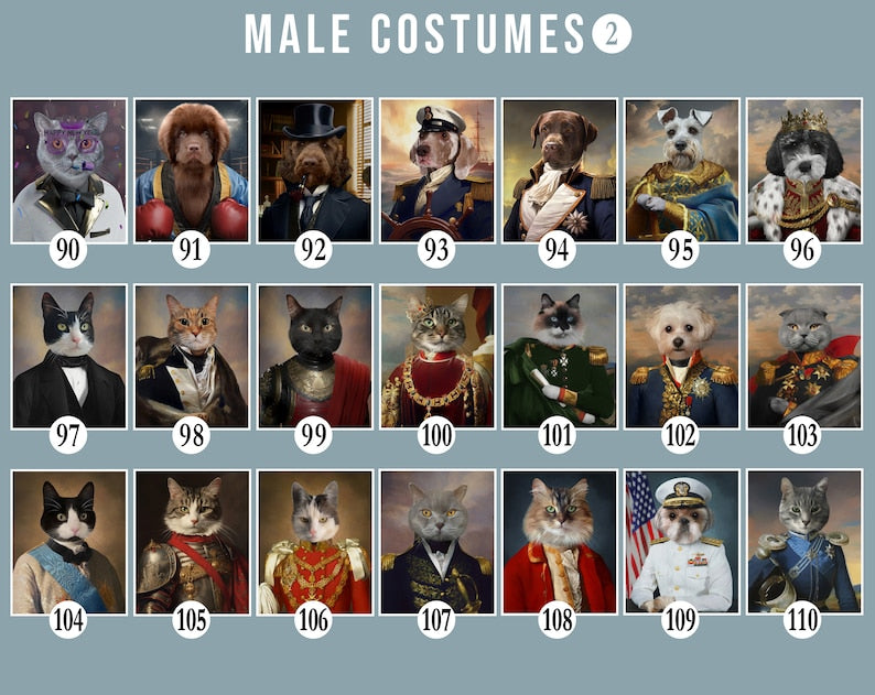 Custom General Pet Costume