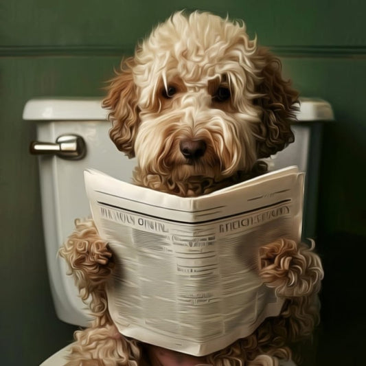 Dog In Toilet Reading Newspaper